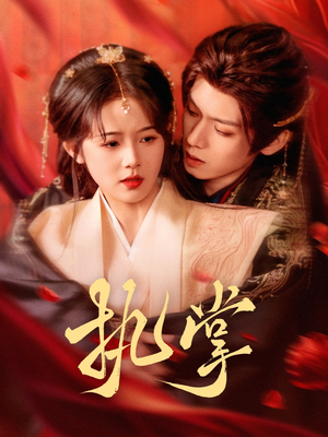 执掌（71集） 看过的人都说好