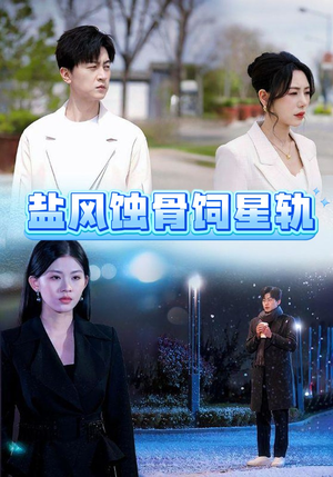 盐风蚀骨饲星轨（60集） 简直不要太好看