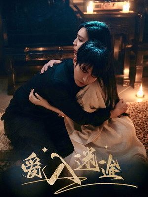 爱入迷途（67集）UC网盘在线看