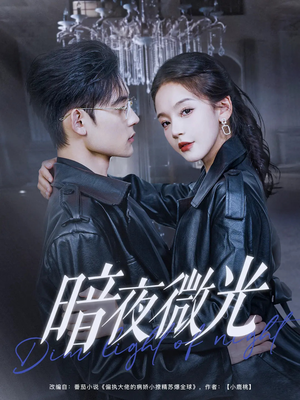 暗夜微光（86集）更新时间一览表