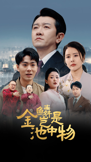 金鳞岂是池中物（61集）火爆短剧抢先看