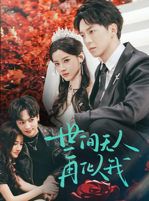 世间无人再似我（32集） 精彩短剧下载