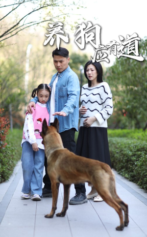 养狗应有道（60集）剧情简介