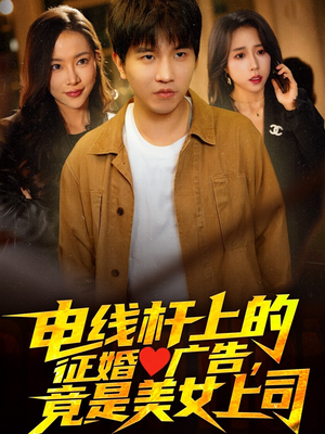 电线杆上的征婚广告，竟是美女上司（90集）在线免费观看