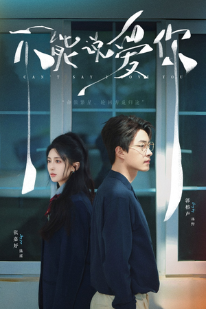 不能说爱你（64集）番茄短剧看全集