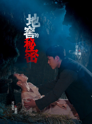 地窖的秘密（40集）去哪里看