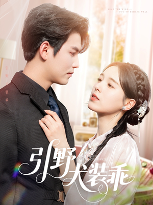 引野犬装乖（61集）全集免费观看