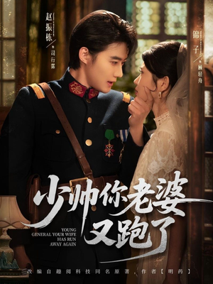 少帅你老婆又跑了（82集）最热短剧推荐