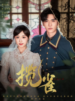 揽雀（61集）短剧免费分享