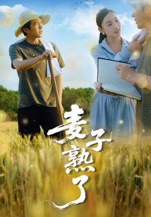 麦子熟了(52集) 麦子熟了(52集)免费短剧完整版