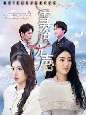 雪落无声（50集）大结局一气呵成