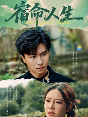 宿命人生（60集）热播短剧排行榜