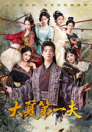 大夏第一夫（90集）免费短剧推荐