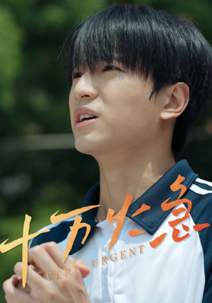 十万火急（30集）红果短剧看全集