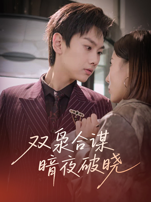 双枭合谋暗夜破晓（30集）一起追短剧吧