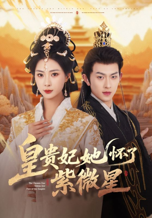 皇贵妃她怀了紫薇星（80集）在线看