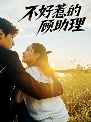 不好惹的顾助理（67集）短剧片段分享