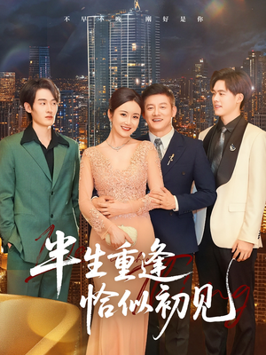 半生重逢恰似初见（90集）短剧演员排行榜