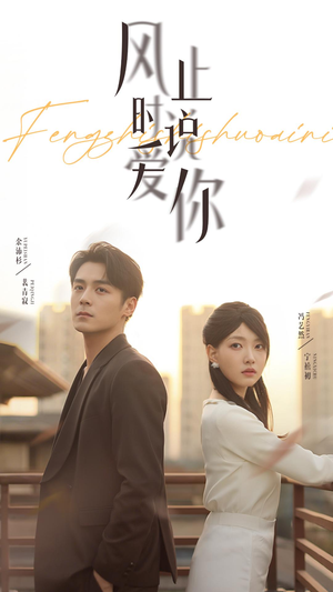风止时说爱你（70集）最新热剧免费看