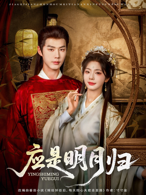 应是明月归（93集）免费短剧资源