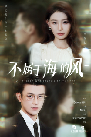 不属于海的风(40集) 不属于海的风(40集)观看软件