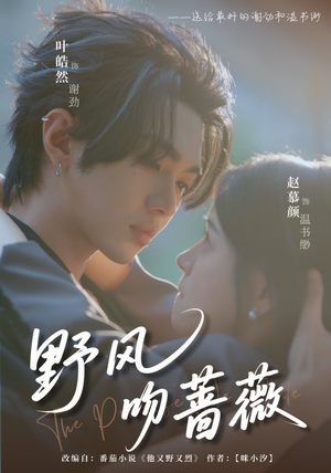 野风吻蔷薇（78集）精彩短剧热播中
