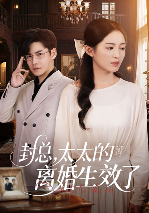 封总，太太的离婚生效了（82集）无需充值尽情看