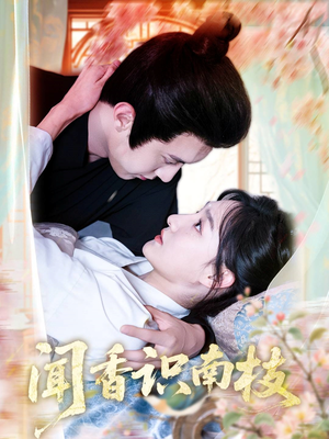 闻香识南枝（60集）短剧抢先看