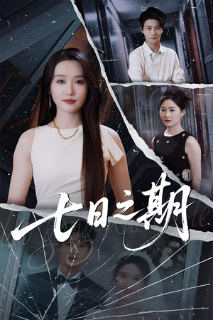 七日之期(90集) 七日之期(90集)一口气追完全集