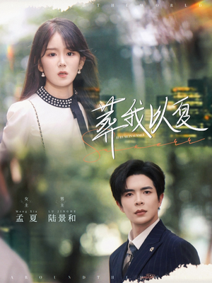 葬我以夏（73集）全集下载