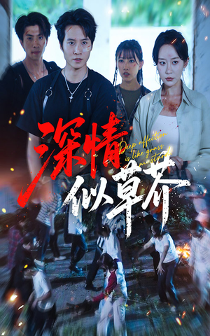 深情似草芥（51集）番茄短剧免费看