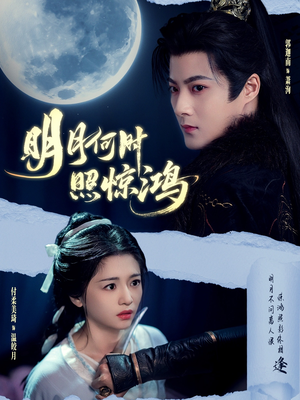 明月何时照惊鸿(80集) 明月何时照惊鸿(80集)热门短剧追不停