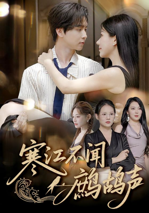 寒江不闻鹧鸪声（55集）好看短剧推荐