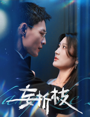 妄折枝（53集）短剧介绍