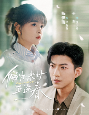 偏你来时正逢春（61集）精彩的网络短剧