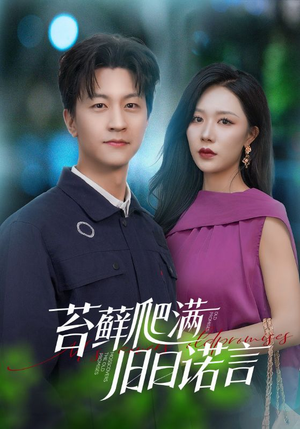 苔藓爬满旧日诺言（83集）热门短剧推广