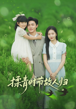 揉青时节故人归(60集) 揉青时节故人归(60集)穿越短剧推荐