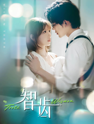 智齿（59集）在线观看完整版