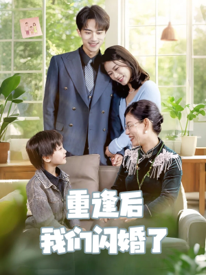 重逢后我们闪婚了（35集）全集一次看完