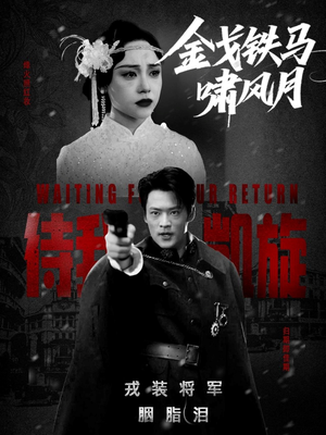 金戈铁马啸风月(54集) 金戈铁马啸风月(54集)口碑之选免费看