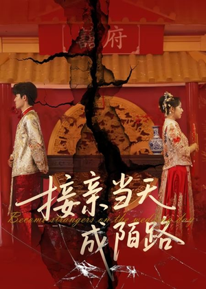 接亲当天成陌路（50集）男频短剧推荐