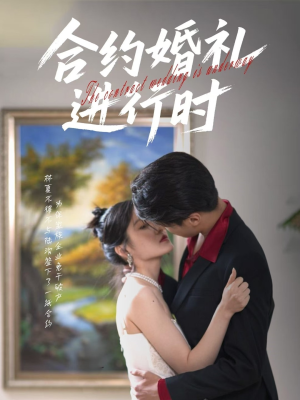 合约婚礼进行时(30集) 合约婚礼进行时(30集)免费看短剧全集