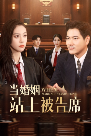 当婚姻站上被告席（30集）短剧全集免费看