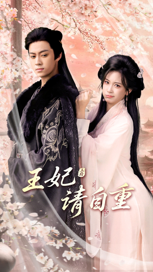 王妃请自重（88集）流畅播放免费看