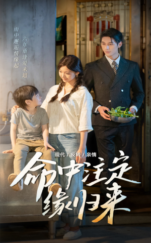 命中注定缘归来(63集) 命中注定缘归来(63集)更新时间一览表