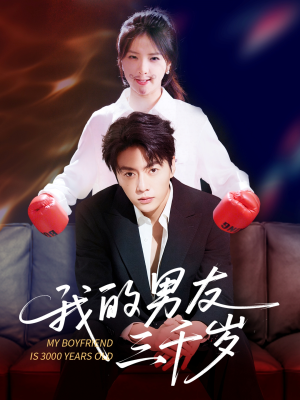 我的男友三千岁（100集）在哪里看