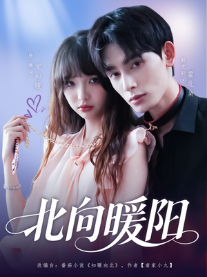 北向暖阳（80集）视频在线看