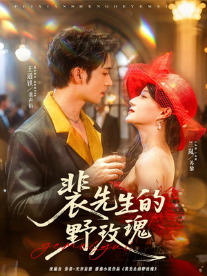 裴先生的野玫瑰（72集）免费短剧大全