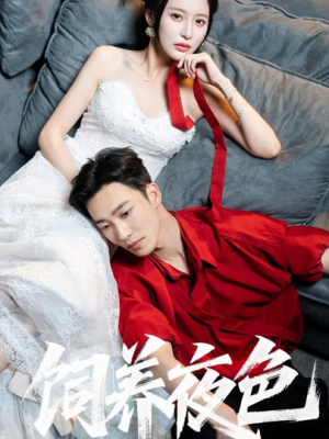 饲养夜色（86集）热播短剧重燃