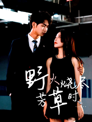 野火烧尽芳草时（65集）在哪个平台看好